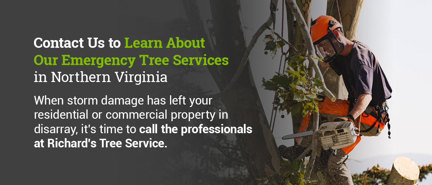 Contact Richard's Tree Service to learn more about our emergency tree services