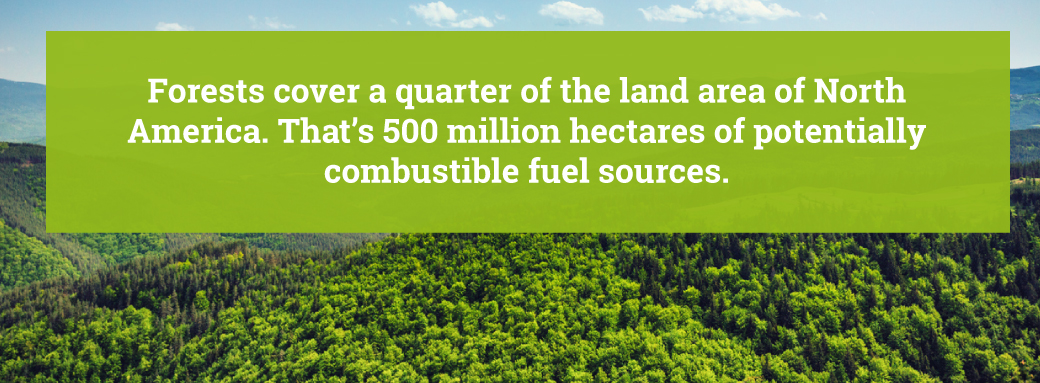 forest coverage in the US