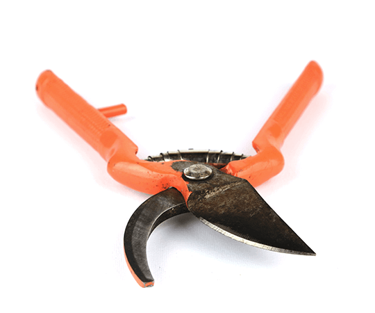 Garden Shears for Pruning