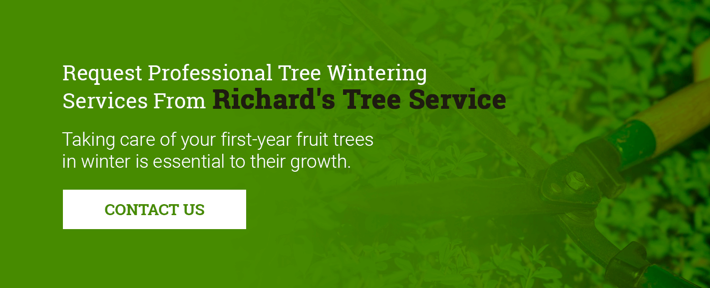 Request Professional Tree Wintering Services from Richard's Tree Service