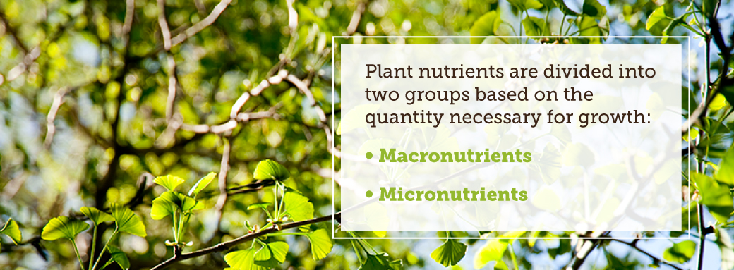 soil nutrients