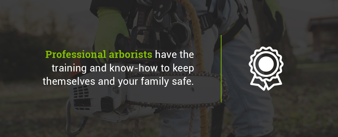 Why Hire an Arborist