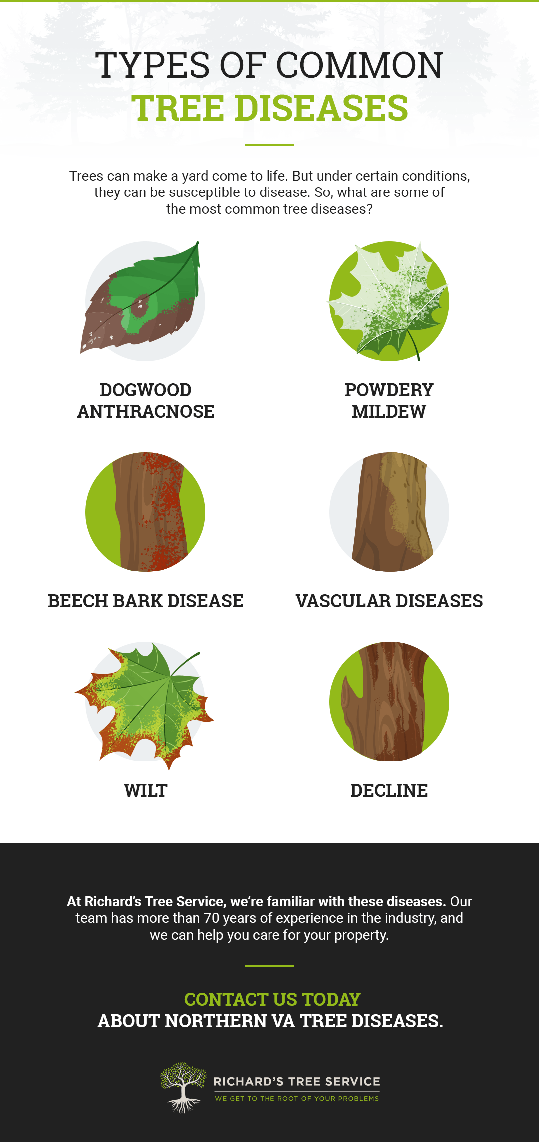 Types of Common Tree Diseases - Dogwood Anthracnose, Powdery Mildew, Beech Bark Disease, Vascular Diseases, Wilt, and Decline