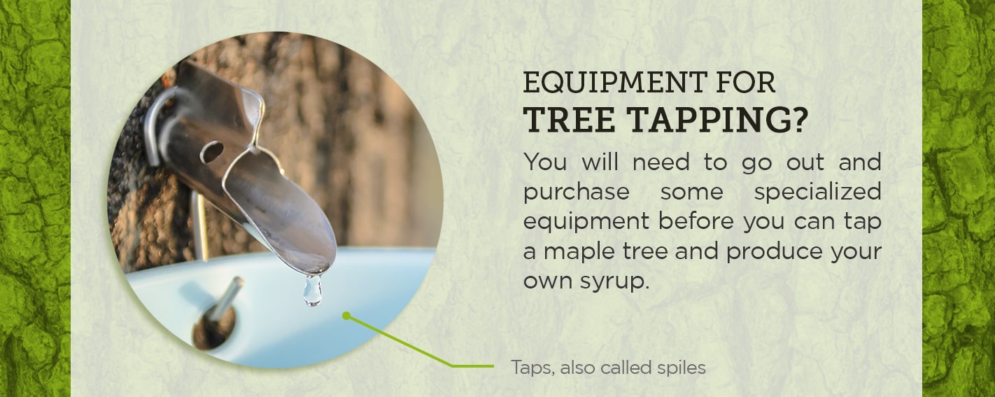 Equipment for Tree Tapping