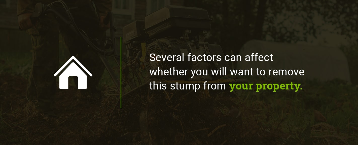 Several factors can affect whether you will want to remove this stump from your property