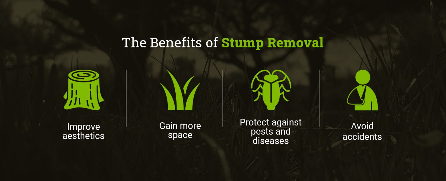 The Benefits of Stump Removal