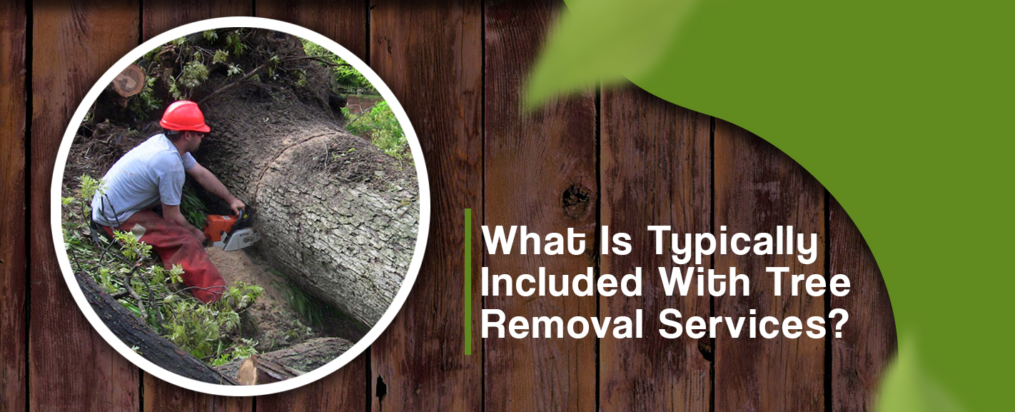 Stump Removal