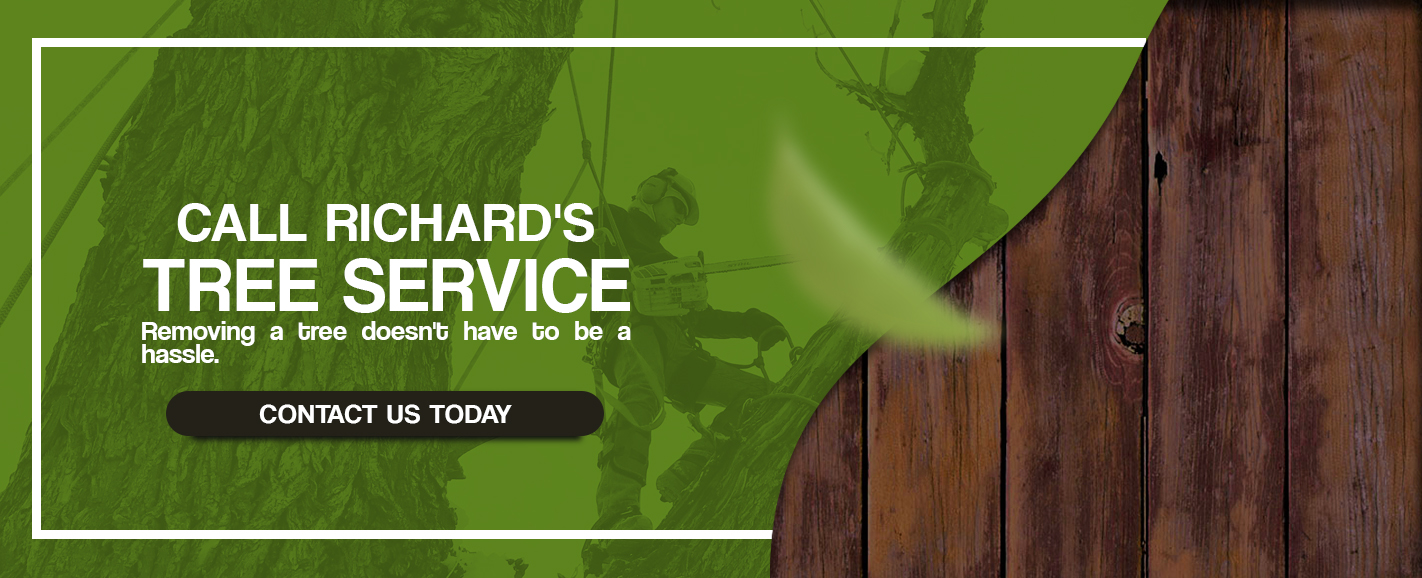 Call Richards Tree Service