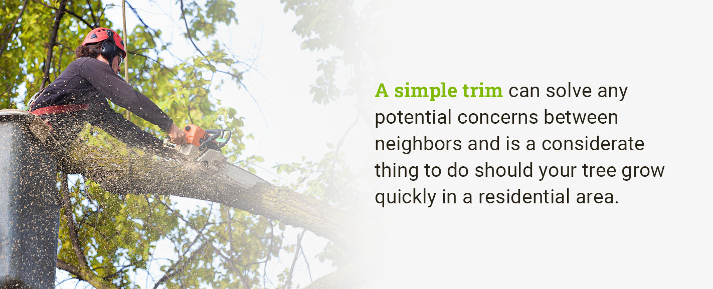 A simple trim can solve any potential concerns between neighbors.